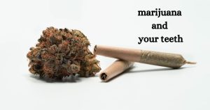marijuana and your teeth